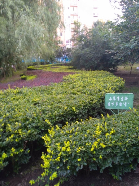小草论坛小说免费阅读小草论坛，绿色交流的家园-第2张图片