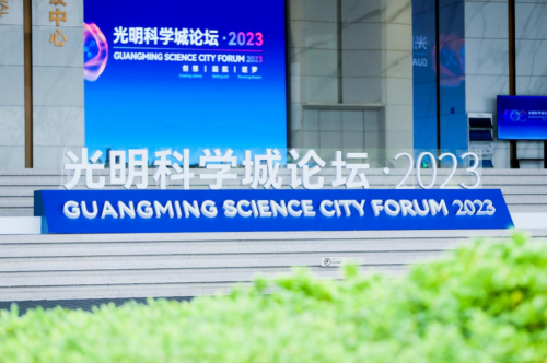 顶尖高手论坛官方网站顶尖高手论坛，探索技术与交流的殿堂-第2张图片