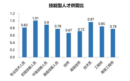 真彩人才市场真彩人才市场，汇聚人才，共创未来-第3张图片
