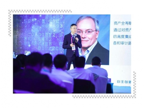 金彩网，引领数字时代的璀璨明珠