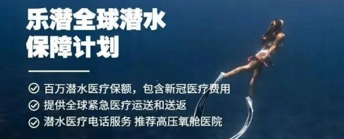 布朗云，科技前沿的探索与影响