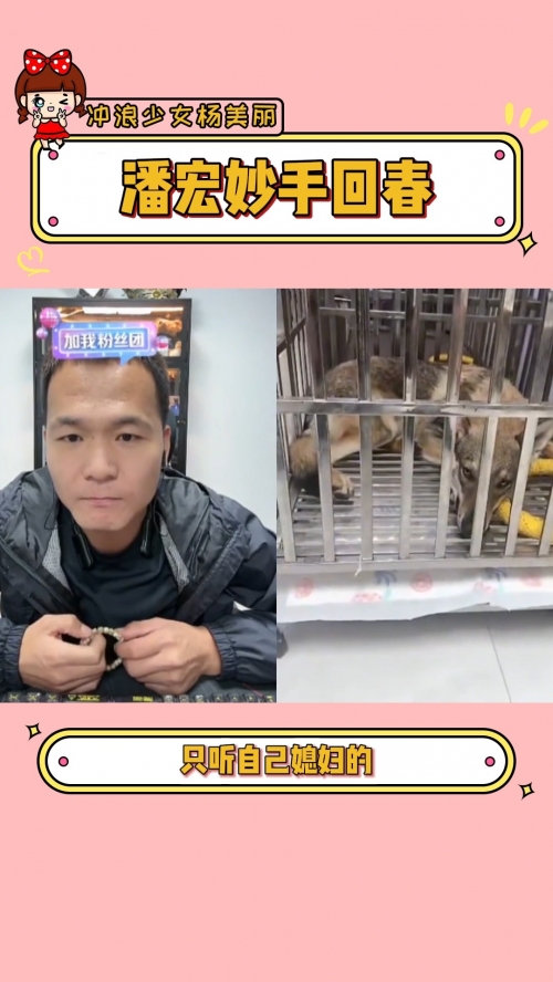 小狼狗高手论坛，探索犬类爱好者的乐园