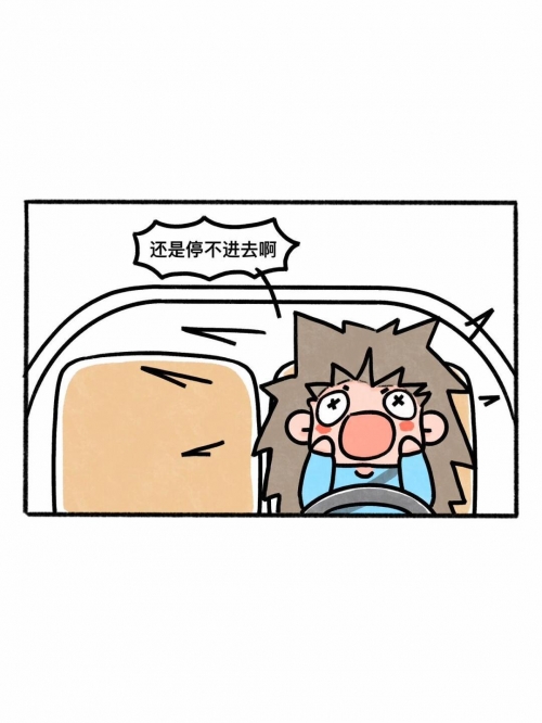 停车达人2停车达人2，智慧与技巧的完美结合-第3张图片