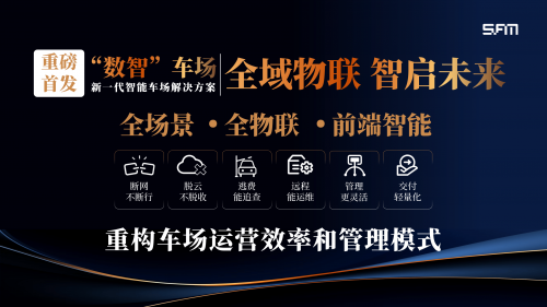 停车达人2停车达人2，智慧与技巧的完美结合-第2张图片