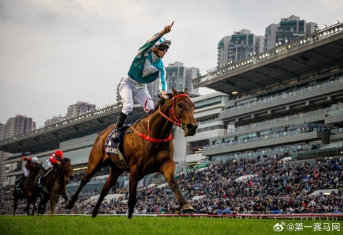 2019年今晚开什么特马揭秘-第2张图片