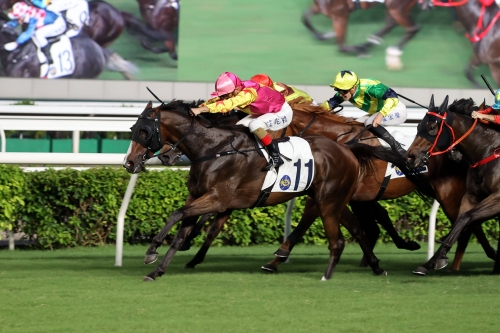 香港赛马会最准资料免费资料介绍