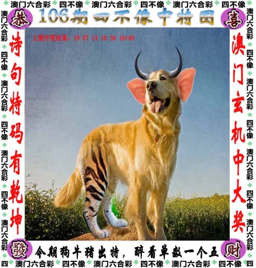 新澳马今日最快最新图库介绍