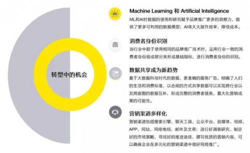 13262.cc探索13262.cc，数字背后的神秘世界-第1张图片
