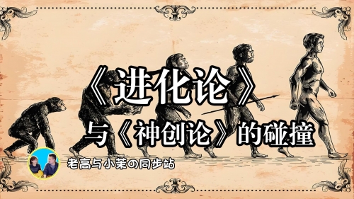 进化与演进的探索-第3张图片