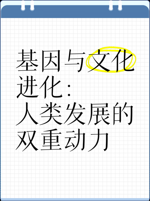 进化与演进的探索