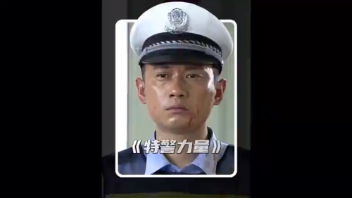 特警力量下载，安全与效率的双重保障