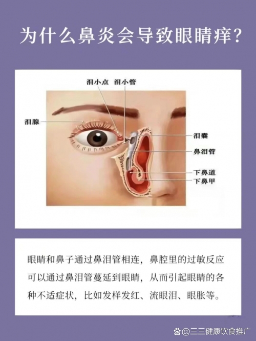 打喷嚏闭眼睛的原理打喷嚏与闭眼睛的原理-第1张图片