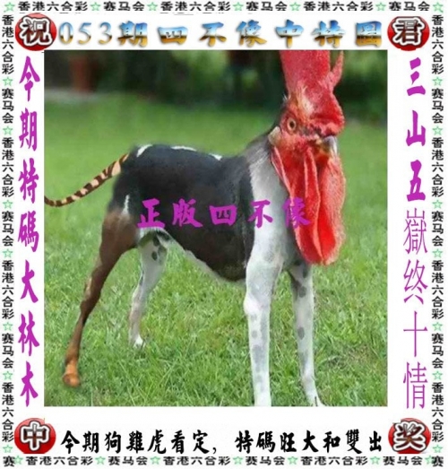 2024香港特马今晚开奖揭晓-第1张图片