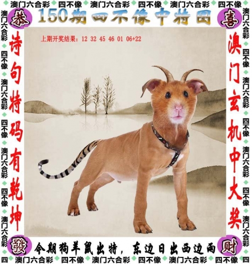 2024香港特马今晚开奖揭晓-第2张图片