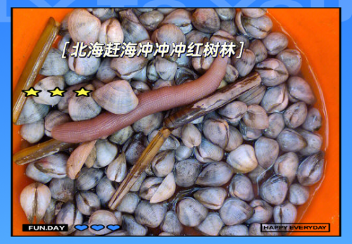 水果奶奶论坛，探索水果的奥秘与乐趣-第2张图片