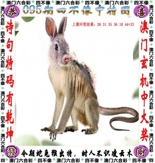 2022澳门今晚开奖结果记录澳门今晚开奖结果记录-第2张图片