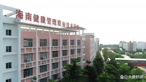 海南有大专的学校有哪些