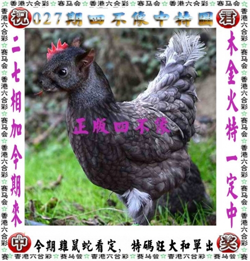 四肖三期内必出一肖