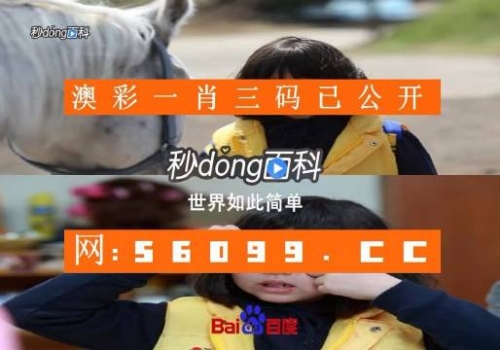 澳门一肖一码一必开一肖一今日头条新闻网澳门一肖一码一必开一肖，揭秘彩票游戏-第2张图片