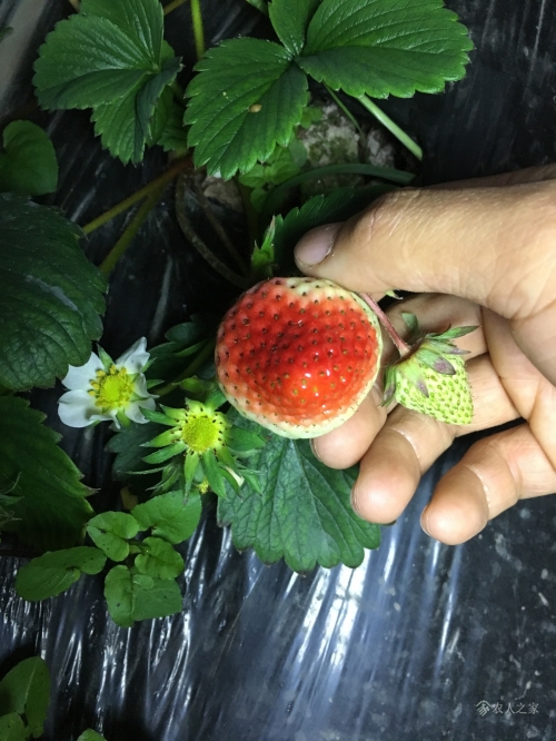 一点红心水高手论坛规律一点一点红心水论坛，探索交流与成长的平台-第1张图片