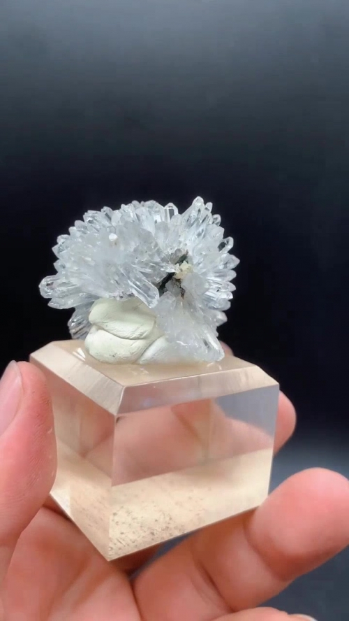 水晶花，美丽与神秘交织的花卉
