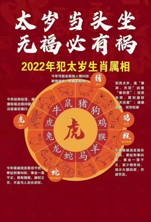2020年生肖灵码表图片