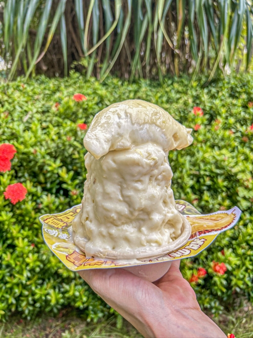 海南特产食品海南特产食品，探秘美食天堂