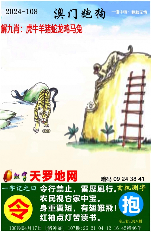 2024澳门精准正版资料大全