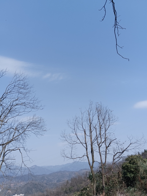 天空下载网天空下载网，探索无限网络资源-第3张图片