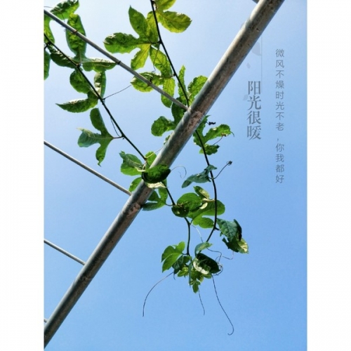 幸运28，生活中的小确幸-第3张图片