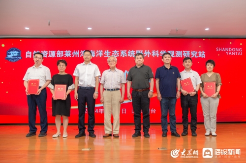 泉港新闻网门户网泉港新闻网，新闻资讯的海洋-第1张图片