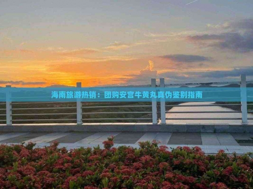 海南本地游玩团购app海南团购网，一站式购物新体验-第2张图片