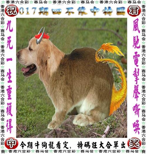 2023澳门必中肖码一肖一码攻略-第2张图片