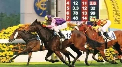 香港马会开奖结果直播香港马会开奖结果直播-第2张图片