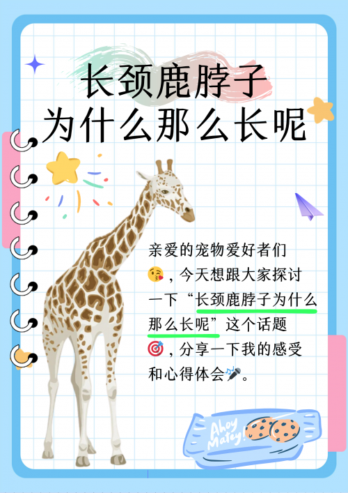 大家好！今天我想和大家分享一些有趣的图片。在我们的日常生活中，图片是一种非常直观、生动的方式，让我们能够更好地理解和感受世界。下面，让我们一起欣赏这些图片吧！
