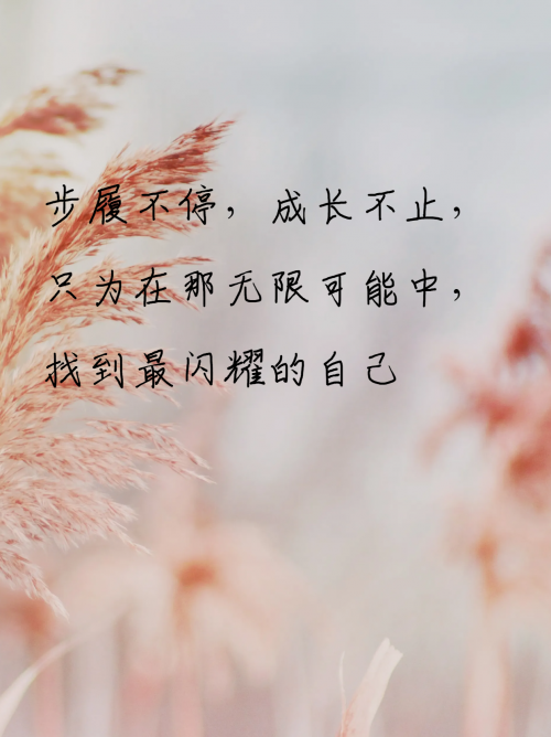 87877.com87877.com，探索数字时代的无限可能-第3张图片