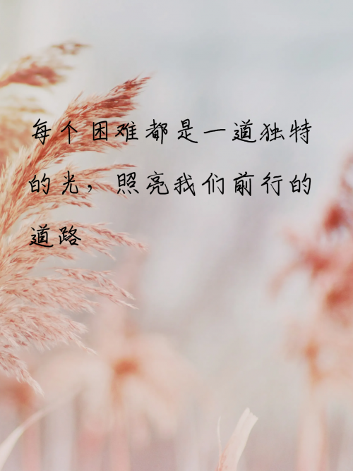 87877.com87877.com，探索数字时代的无限可能-第2张图片