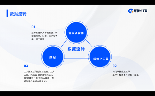 澳家婆2024，肖特特新篇章-第2张图片