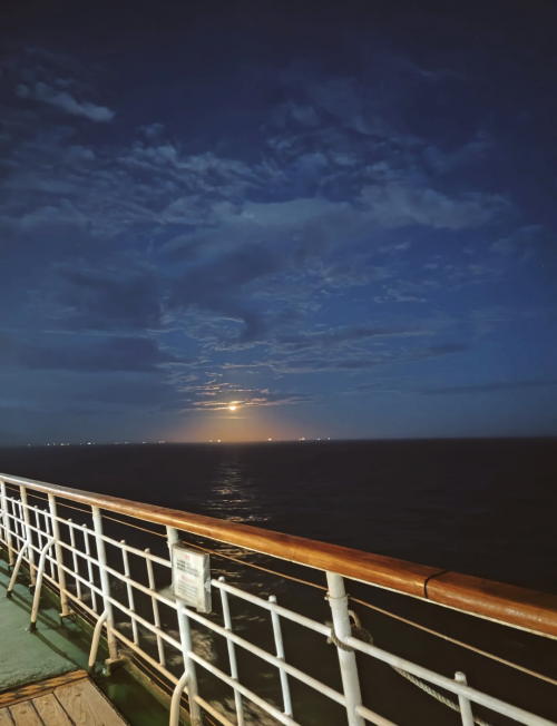 船票查询，便捷服务的海洋之旅-第2张图片