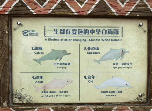 船票查询，便捷服务的海洋之旅-第1张图片