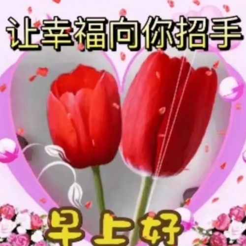 5月9号是什么日子五月九日是什么日子