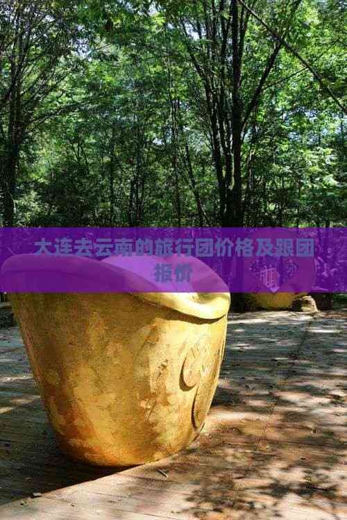 大连到云南旅游跟团大连报价大连到云南旅游攻略