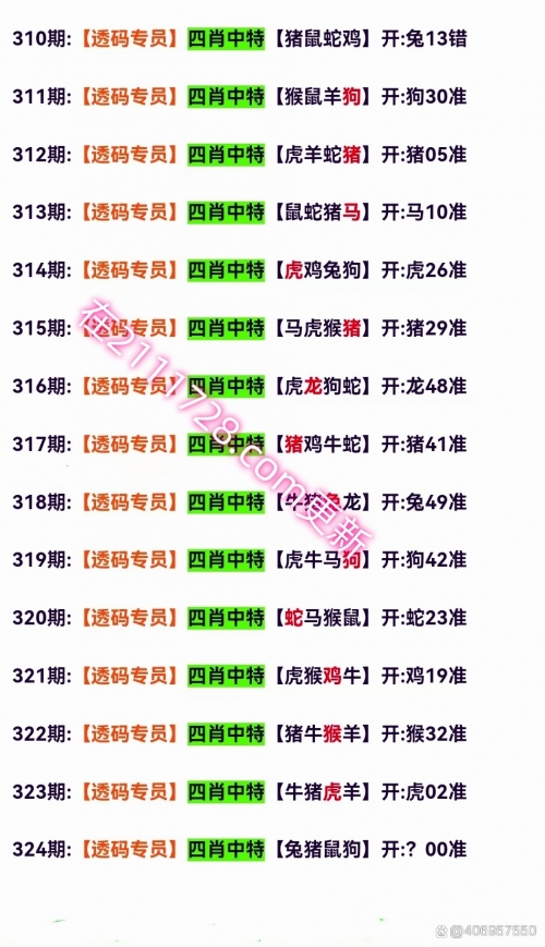 澳门一肖一码澳门跑狗澳门一肖一码，探索澳门彩票的神秘魅力