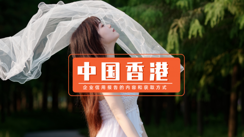 香港历史记录近15期查询香港历史记录近15期查询-第2张图片