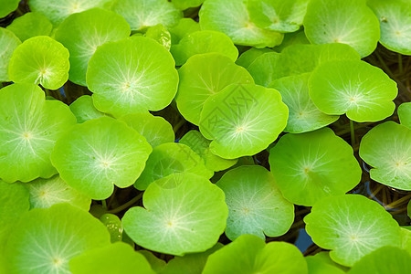 小草论坛小说免费阅读小草论坛，绿色交流的家园