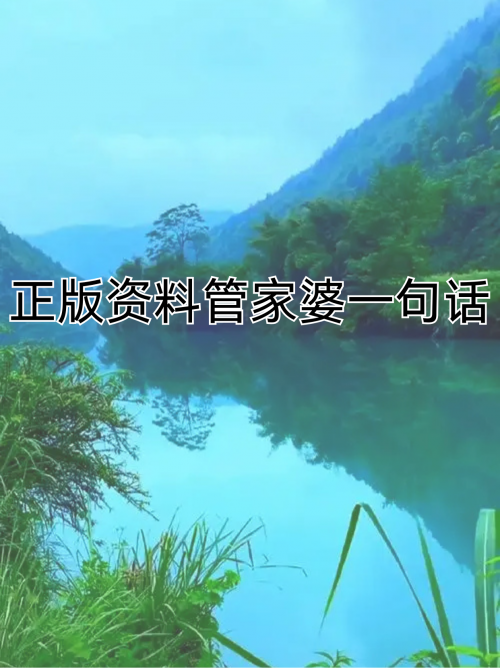 管家婆资料大全管家管家婆资料大全，管家服务与资料管理