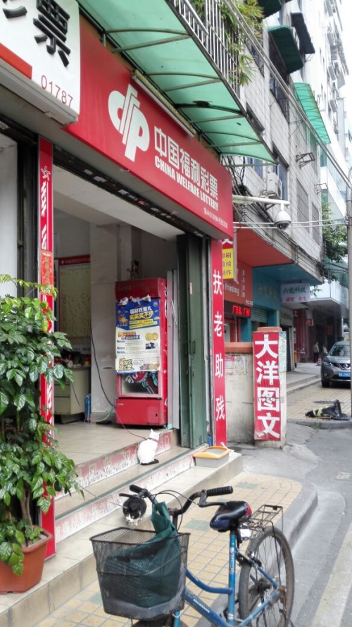 87彩店怎么样87彩店，探索彩票投注的新世界-第2张图片