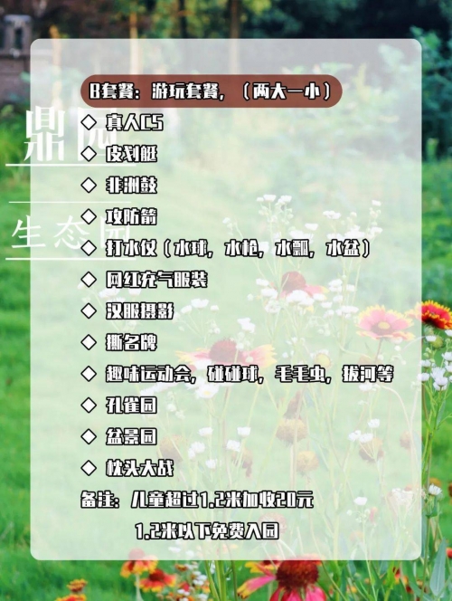 376969凤凰风站376969凤凰风站，探索未知的魅力之地-第1张图片