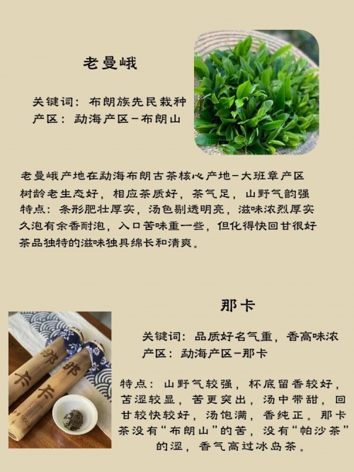 中国普洱茶，千年传承的茶文化瑰宝-第2张图片