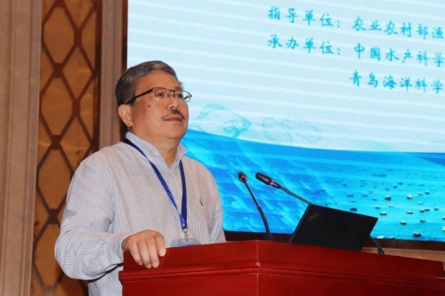 副职业，多元发展的新途径